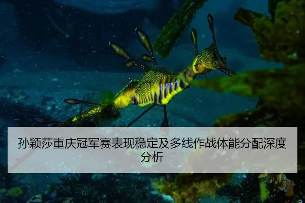 sun-ying-sha-chong-qing-guan-jun-sai-biao-xian-wen-ding-ji-duo-xian-zuo-zhan-ti-neng-fen-pei-shen-du-fen-xi-2-332.jpg